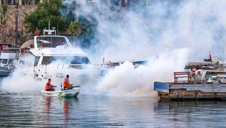 Antalya Büyükşehir’den Karada ve Denizde Sineksiz Yaz İçin Seferberlik