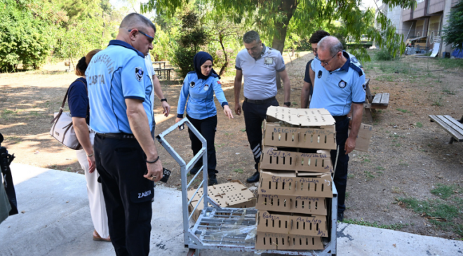 Antalya Otogarı’nda 700 kaçak civciv yakalandı!